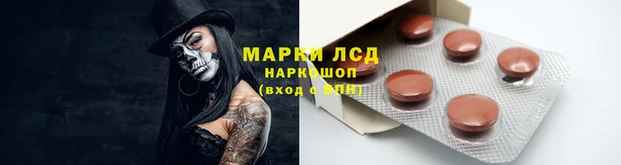 гидропоника Алексин