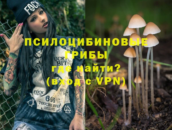 молекула духа Алзамай