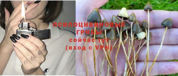 хмурый Абинск